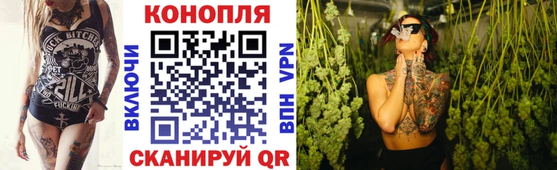 Конопля Amnesia  Купить где  Алушта 